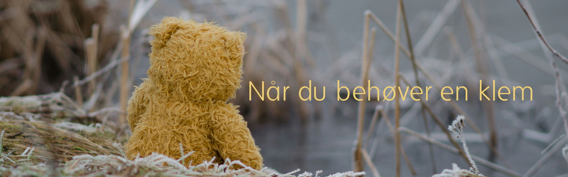 Hvorfor PlanB Vineyard