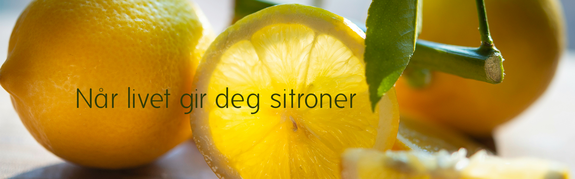 Hvorfor PlanB Vineyard